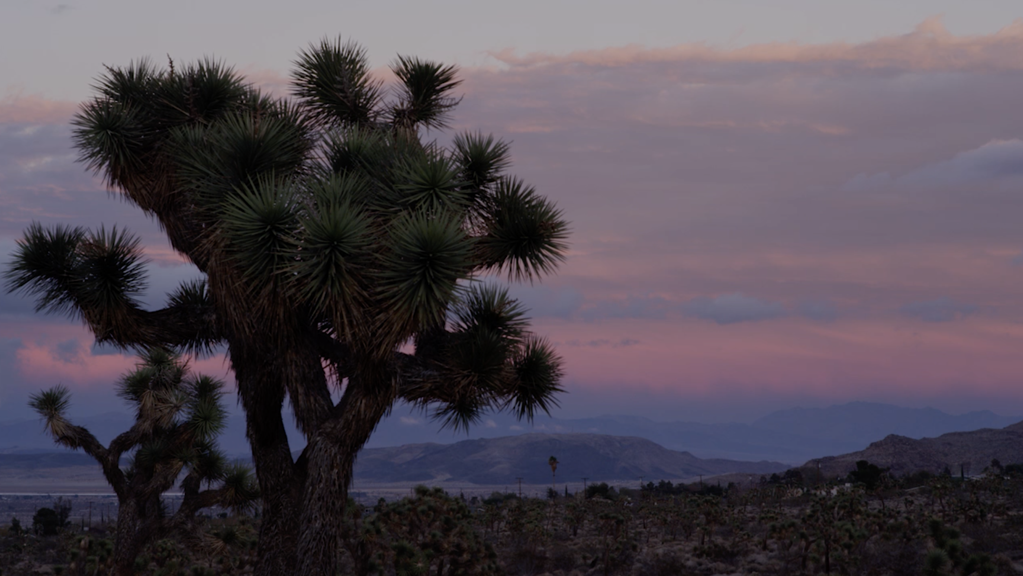 Screen Shot 2022-05-20 at 10.17.43 AM